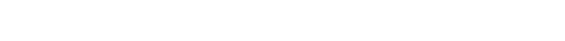 Logo - Sky Solis