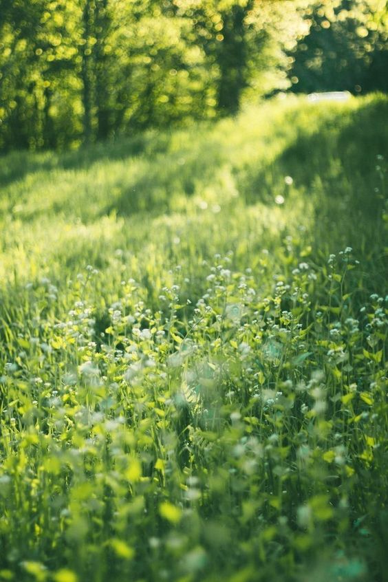 GREEN AS AN ACCENT